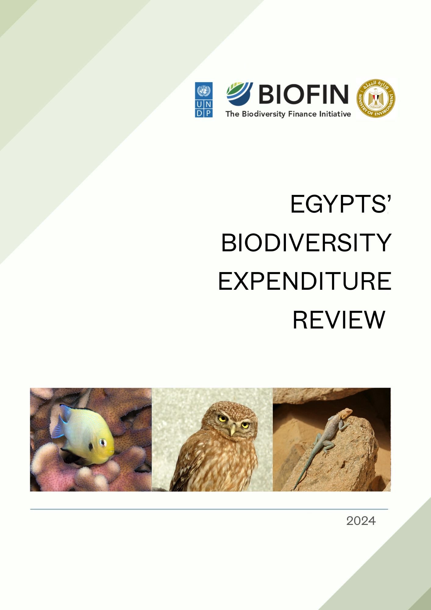 Biodiversity Expenditure Review for Egypt
