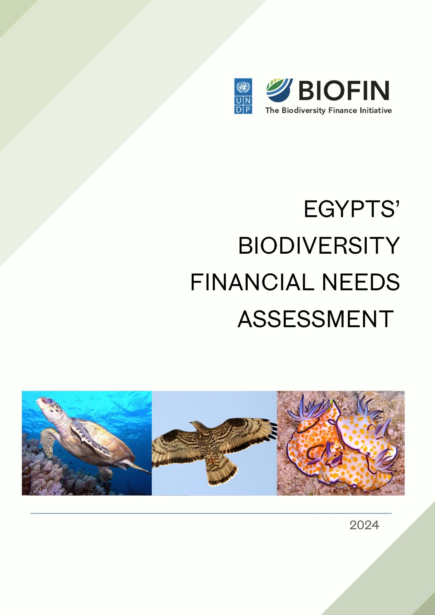 Biodiversity Financial Needs Assessment for Egypt